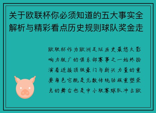 关于欧联杯你必须知道的五大事实全解析与精彩看点历史规则球队奖金走势